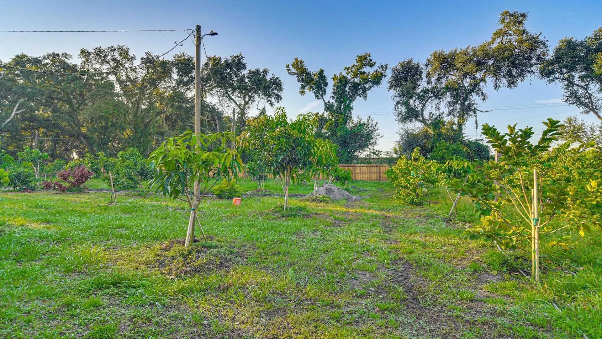 Prázdninový dům Spacious Tampa Home Pets Welcome!